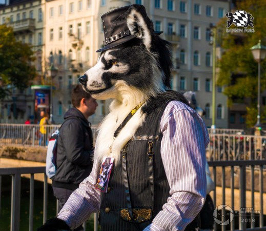 MSW5 270 von Nefires MSW5 270 von Nefires