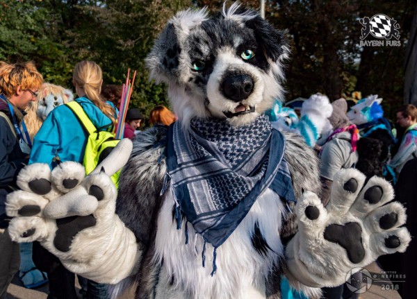 MSW5 271 von Nefires MSW5 271 von Nefires