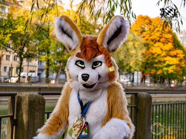 MSW5 273 von Nefires MSW5 273 von Nefires