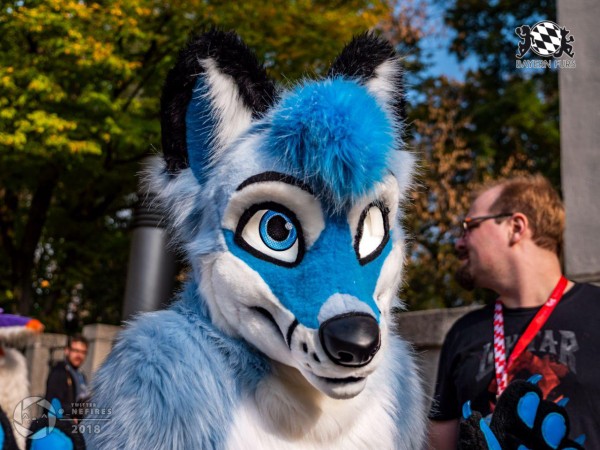 MSW5 275 von Nefires MSW5 275 von Nefires