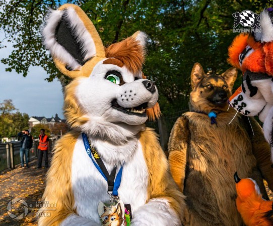 MSW5 277 von Nefires MSW5 277 von Nefires