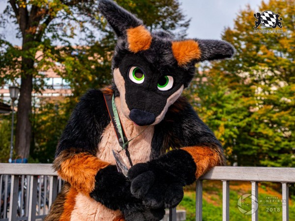 MSW5 280 von Nefires MSW5 280 von Nefires