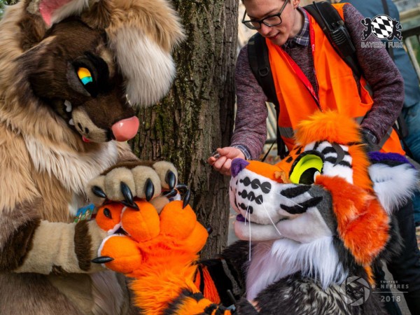 MSW5 281 von Nefires MSW5 281 von Nefires