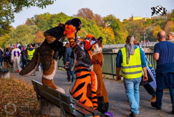 MSW5 285 von Nefires MSW5 285 von Nefires