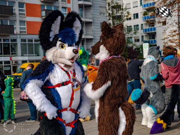 MSW5 288 von Nefires MSW5 288 von Nefires