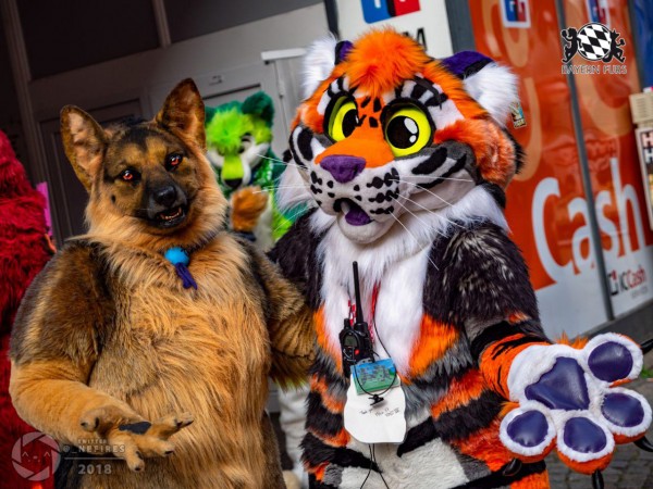 MSW5 292 von Nefires MSW5 292 von Nefires