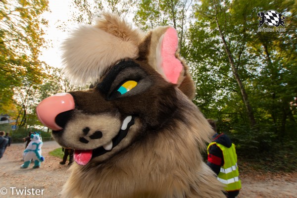 MSW5 297 von Twister MSW5 297 von Twister