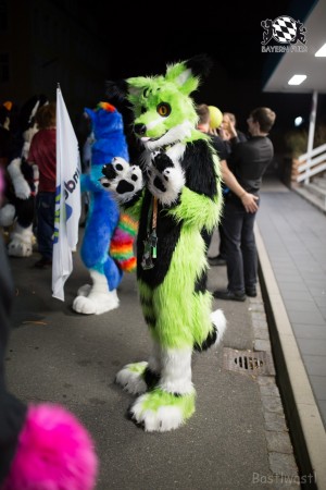 BFD8 0602 von Bastlwastl BFD8 0602 von Bastlwastl