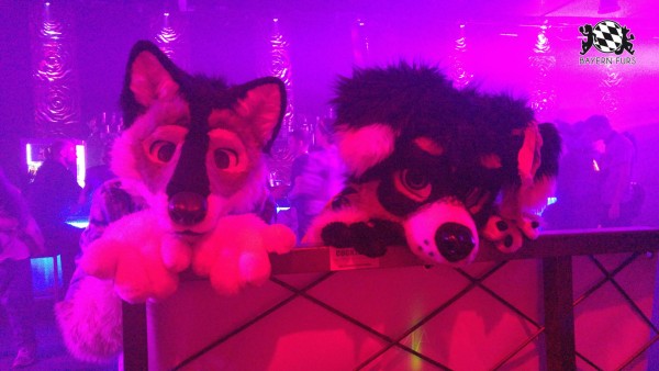 BFD8 0605 von Foxy BFD8 0605 von Foxy