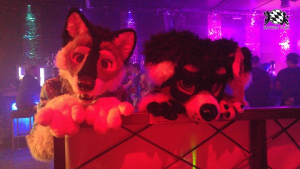 BFD8 0606 von Foxy BFD8 0606 von Foxy