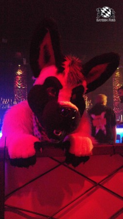 BFD8 0607 von Foxy BFD8 0607 von Foxy