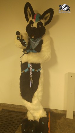 BFD8 0622 von Foxy BFD8 0622 von Foxy