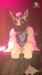 BFD8 0628 von Foxy BFD8 0628 von Foxy