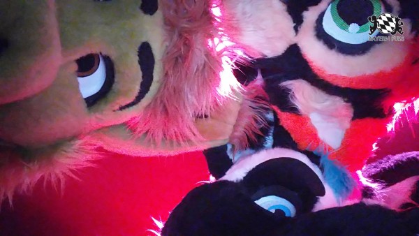 BFD8 0637 von Foxy BFD8 0637 von Foxy