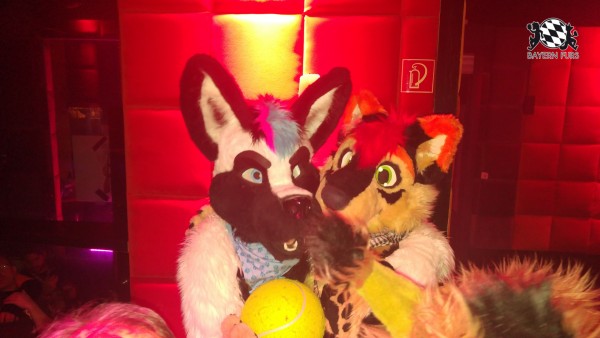 BFD8 0638 von Foxy BFD8 0638 von Foxy