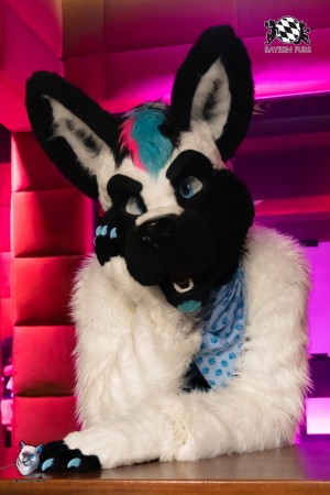 BFD8 0643 von FuWo BFD8 0643 von FuWo