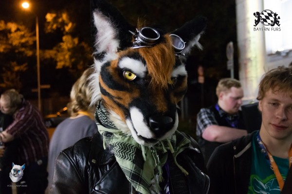 BFD8 0653 von FuWo BFD8 0653 von FuWo