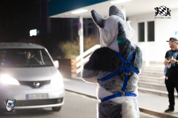 BFD8 0698 von FuWo BFD8 0698 von FuWo