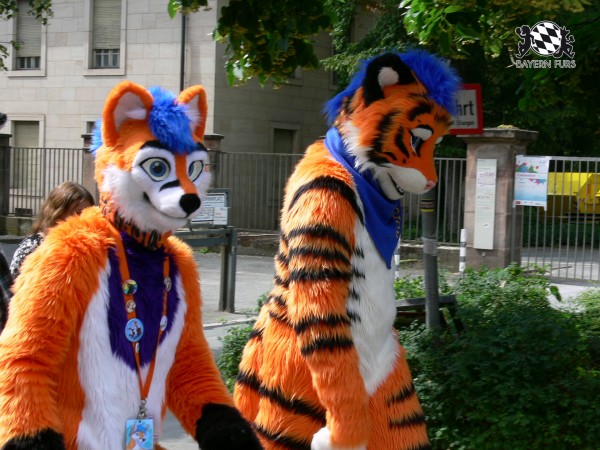 BFD3 0409 von Unbekannt BFD3 0409 von Unbekannt