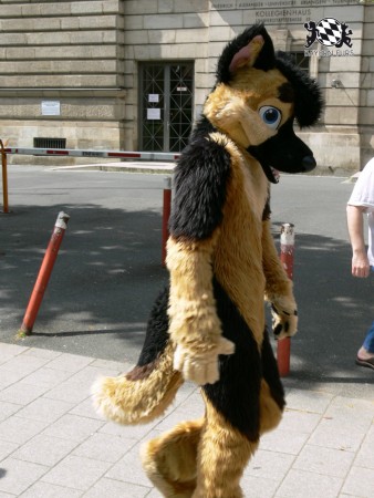 BFD3 0418 von Unbekannt BFD3 0418 von Unbekannt