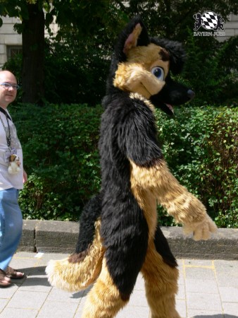 BFD3 0419 von Unbekannt BFD3 0419 von Unbekannt