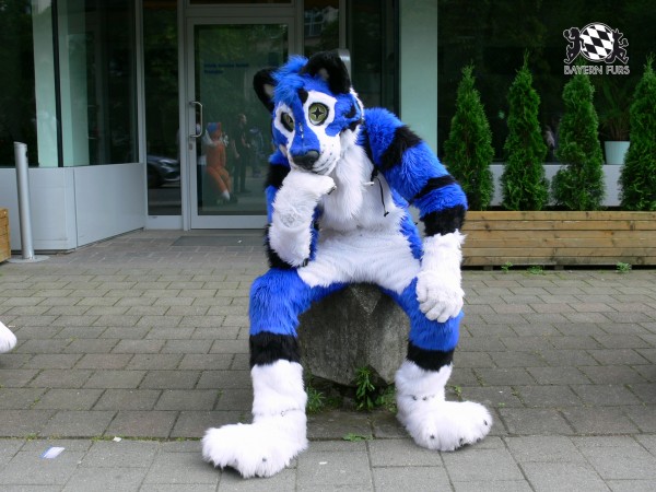 BFD3 0428 von Unbekannt BFD3 0428 von Unbekannt