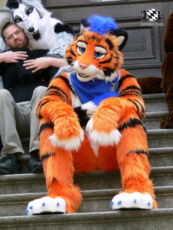 BFD3 0444 von Unbekannt BFD3 0444 von Unbekannt