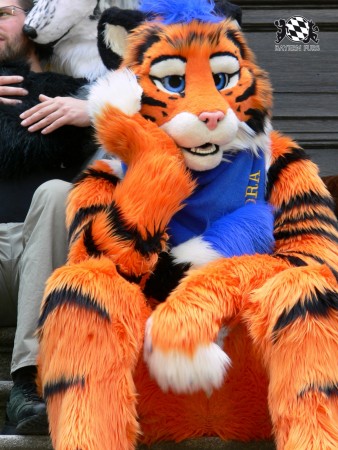 BFD3 0446 von Unbekannt BFD3 0446 von Unbekannt