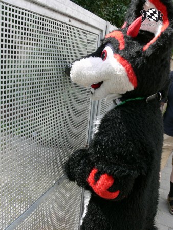 BFD3 0457 von Unbekannt BFD3 0457 von Unbekannt