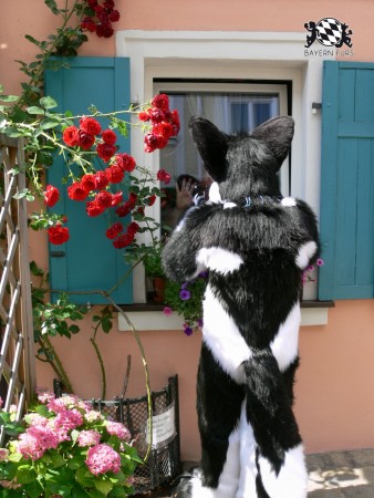 BFD3 0469 von Unbekannt BFD3 0469 von Unbekannt