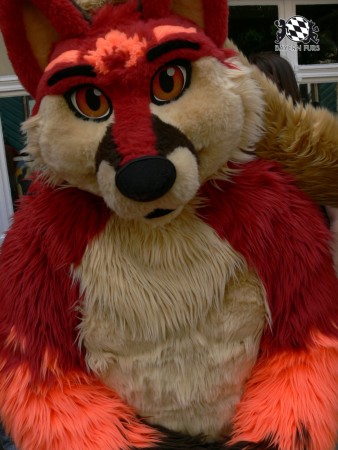 BFD3 0471 von Unbekannt BFD3 0471 von Unbekannt