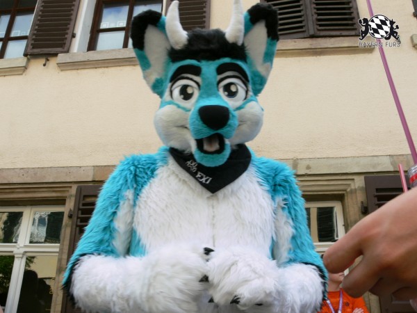 BFD3 0477 von Unbekannt BFD3 0477 von Unbekannt