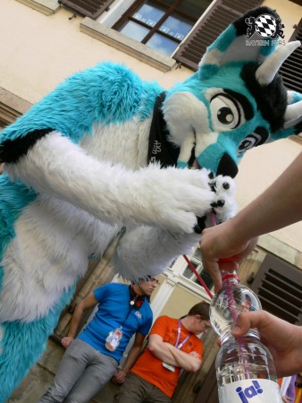 BFD3 0478 von Unbekannt BFD3 0478 von Unbekannt