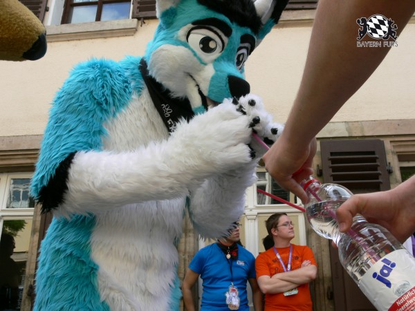 BFD3 0479 von Unbekannt BFD3 0479 von Unbekannt