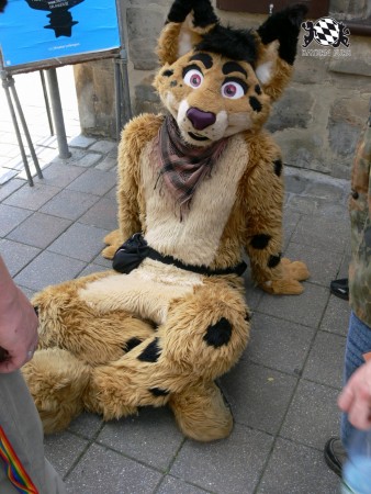 BFD3 0480 von Unbekannt BFD3 0480 von Unbekannt