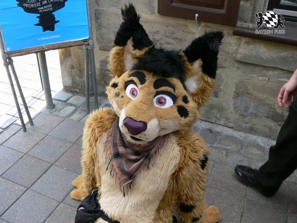 BFD3 0481 von Unbekannt BFD3 0481 von Unbekannt