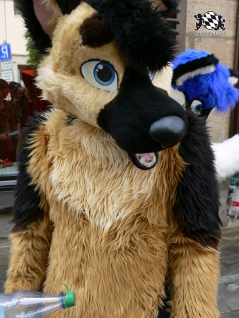 BFD3 0484 von Unbekannt BFD3 0484 von Unbekannt