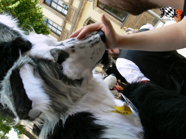 BFD3 0486 von Unbekannt BFD3 0486 von Unbekannt