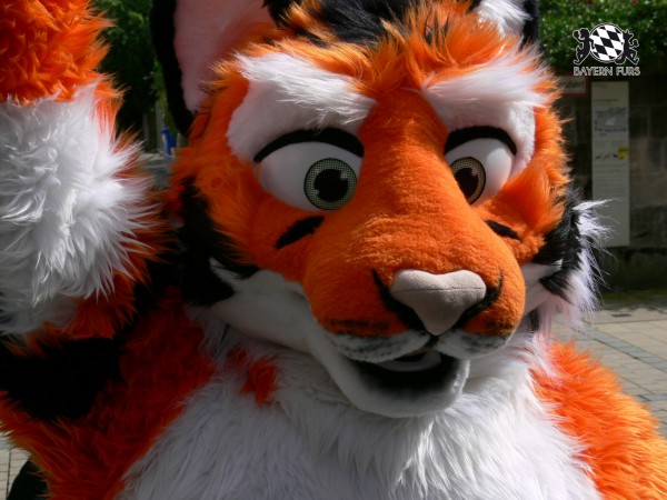 BFD3 0492 von Unbekannt BFD3 0492 von Unbekannt