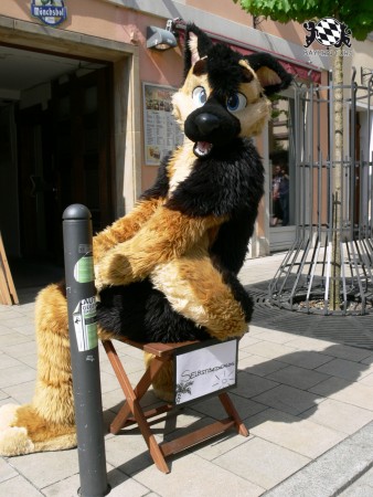 BFD3 0494 von Unbekannt BFD3 0494 von Unbekannt