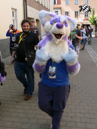 BFD3 0499 von Unbekannt BFD3 0499 von Unbekannt