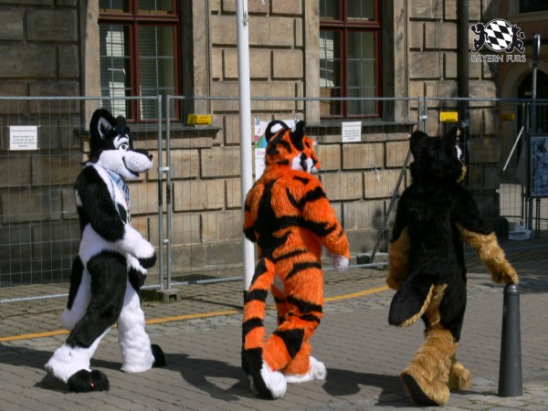 BFD3 0504 von Unbekannt BFD3 0504 von Unbekannt