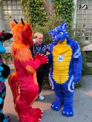 bfd111 von werefox aries bfd111 von werefox aries
