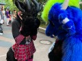 bfd111 von werefox aries bfd111 von werefox aries
