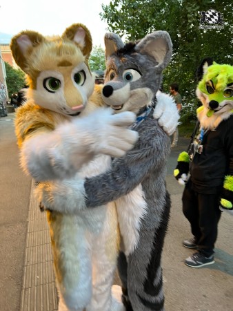 bfd111 von werefox aries bfd111 von werefox aries