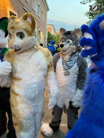 bfd111 von werefox aries bfd111 von werefox aries