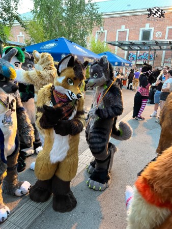 bfd111 von werefox aries bfd111 von werefox aries