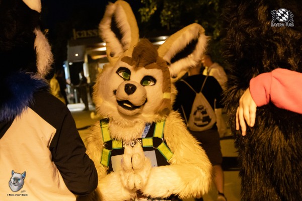 bfd111 0116 von final bfd111 0116 von final