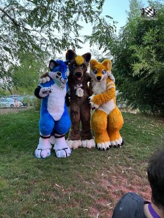 bfd111 von werefox aries bfd111 von werefox aries