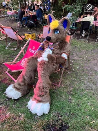 bfd111 von werefox aries bfd111 von werefox aries